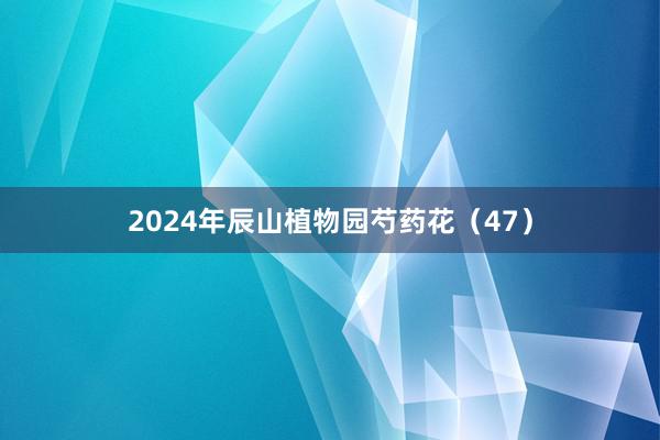 2024年辰山植物园芍药花（47）